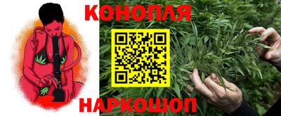 дмт Будённовск