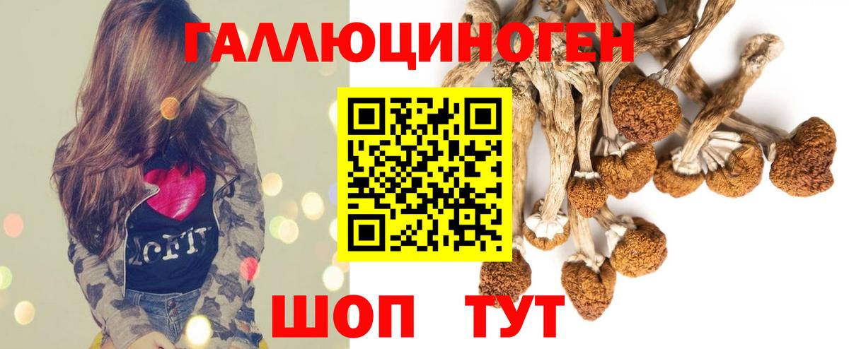 Междуреченск  Галлюциногенные грибы GOLDEN TEACHER  Галлюциногенные грибы Magic Shrooms  Вход с VPN 